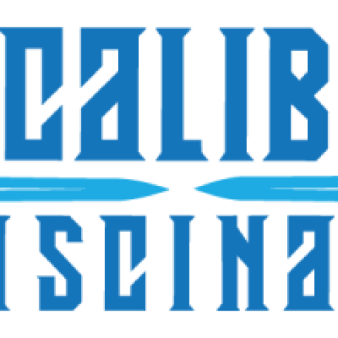 Logo Excalibur Piscinas